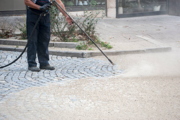 Best Gutter Cleaning  in Shenandoah, TX