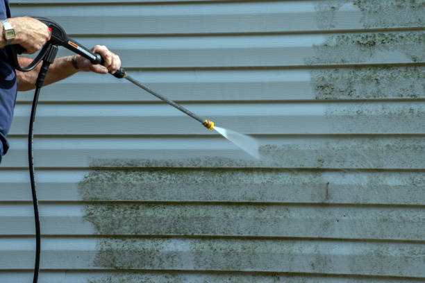 Best Sidewalk and Walkway Cleaning  in Shenandoah, TX